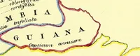 An illustration from A series of botanical tables, and tables of the materia medica, designed for the use of students preparing for examination at Apothecaries' Hall : illustrated with numerous engravings on wood, and four coloured medico-botanical maps of Europe, Asia, Africa, and America, showing the geographical situation of all the plants of the Pharmacopoeia / by W.K. Toase. (1835)