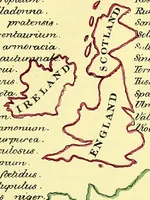 An illustration from A series of botanical tables, and tables of the materia medica, designed for the use of students preparing for examination at Apothecaries' Hall : illustrated with numerous engravings on wood, and four coloured medico-botanical maps of Europe, Asia, Africa, and America, showing the geographical situation of all the plants of the Pharmacopoeia / by W.K. Toase. (1835)