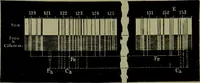 An illustration from Spectrum analysis in its application to terrestrial substances, and the physical constitution of the heavenly bodies / familiarly explained by H. Schellen ; translated from the second enlarged and revised German edition by Jane and Caroline Lassell ; edited with notes by William Huggins ; with numerous woodcuts and coloured plates, and Ångström's and Kirchhoff's maps. (1872)