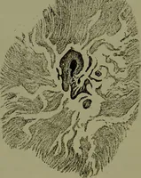 An illustration from Spectrum analysis in its application to terrestrial substances, and the physical constitution of the heavenly bodies / familiarly explained by H. Schellen ; translated from the second enlarged and revised German edition by Jane and Caroline Lassell ; edited with notes by William Huggins ; with numerous woodcuts and coloured plates, and Ångström's and Kirchhoff's maps. (1872)