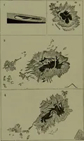 An illustration from Spectrum analysis in its application to terrestrial substances, and the physical constitution of the heavenly bodies / familiarly explained by H. Schellen ; translated from the second enlarged and revised German edition by Jane and Caroline Lassell ; edited with notes by William Huggins ; with numerous woodcuts and coloured plates, and Ångström's and Kirchhoff's maps. (1872)
