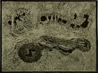 An illustration from Spectrum analysis in its application to terrestrial substances, and the physical constitution of the heavenly bodies / familiarly explained by H. Schellen ; translated from the second enlarged and revised German edition by Jane and Caroline Lassell ; edited with notes by William Huggins ; with numerous woodcuts and coloured plates, and Ångström's and Kirchhoff's maps. (1872)
