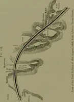 An illustration from Spectrum analysis in its application to terrestrial substances, and the physical constitution of the heavenly bodies / familiarly explained by H. Schellen ; translated from the second enlarged and revised German edition by Jane and Caroline Lassell ; edited with notes by William Huggins ; with numerous woodcuts and coloured plates, and Ångström's and Kirchhoff's maps. (1872)