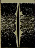 An illustration from Spectrum analysis in its application to terrestrial substances, and the physical constitution of the heavenly bodies / familiarly explained by H. Schellen ; translated from the second enlarged and revised German edition by Jane and Caroline Lassell ; edited with notes by William Huggins ; with numerous woodcuts and coloured plates, and Ångström's and Kirchhoff's maps. (1872)
