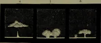 An illustration from Spectrum analysis in its application to terrestrial substances, and the physical constitution of the heavenly bodies / familiarly explained by H. Schellen ; translated from the second enlarged and revised German edition by Jane and Caroline Lassell ; edited with notes by William Huggins ; with numerous woodcuts and coloured plates, and Ångström's and Kirchhoff's maps. (1872)