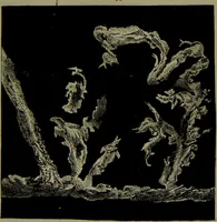 An illustration from Spectrum analysis in its application to terrestrial substances, and the physical constitution of the heavenly bodies / familiarly explained by H. Schellen ; translated from the second enlarged and revised German edition by Jane and Caroline Lassell ; edited with notes by William Huggins ; with numerous woodcuts and coloured plates, and Ångström's and Kirchhoff's maps. (1872)