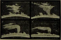 Picture 137 of 181 from Spectrum analysis in its application to terrestrial substances, and the physical constitution of the heavenly bodies / familiarly explained by H. Schellen ; translated from the second enlarged and revised German edition by Jane and Caroline Lassell ; edited with notes by William Huggins ; with numerous woodcuts and coloured plates, and Ångström's and Kirchhoff's maps. (1872), leaf 501