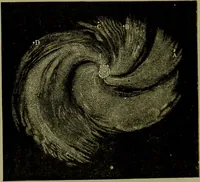 An illustration from Spectrum analysis in its application to terrestrial substances, and the physical constitution of the heavenly bodies / familiarly explained by H. Schellen ; translated from the second enlarged and revised German edition by Jane and Caroline Lassell ; edited with notes by William Huggins ; with numerous woodcuts and coloured plates, and Ångström's and Kirchhoff's maps. (1872)
