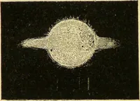 An illustration from Spectrum analysis : six lectures, delivered in 1868, before the Society of Apothecaries of London / by Henry E. Roscoe ; with appendices, coloured plates, and illustrations. (1869)