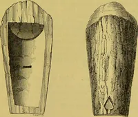 An illustration from Thesaurus craniorum : catalogue of the skulls of the various races of man, in the collection of Joseph Barnard Davis. (1867)