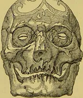 An illustration from Thesaurus craniorum : catalogue of the skulls of the various races of man, in the collection of Joseph Barnard Davis. (1867)