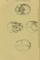 Picture 9 of 41 from Thesaurus craniorum : catalogue of the skulls of the various races of man, in the collection of Joseph Barnard Davis. (1867), leaf 42
