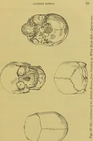 Picture 10 of 41 from Thesaurus craniorum : catalogue of the skulls of the various races of man, in the collection of Joseph Barnard Davis. (1867), leaf 45