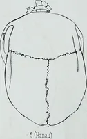 Picture 44 of 72 from Zur Morphologie der Rassen-Schädel : einleitende Bemerkungen und Beiträge, ein Sendschreiben an ... Carl Ernst v. Baer / von Joh. Christ. Gustav Lucae. (1861), leaf 172