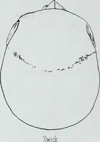 Picture 51 of 72 from Zur Morphologie der Rassen-Schädel : einleitende Bemerkungen und Beiträge, ein Sendschreiben an ... Carl Ernst v. Baer / von Joh. Christ. Gustav Lucae. (1861), leaf 180