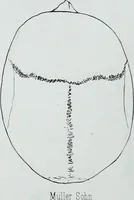 Picture 54 of 72 from Zur Morphologie der Rassen-Schädel : einleitende Bemerkungen und Beiträge, ein Sendschreiben an ... Carl Ernst v. Baer / von Joh. Christ. Gustav Lucae. (1861), leaf 180