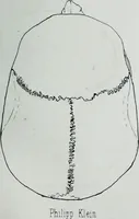 Picture 56 of 72 from Zur Morphologie der Rassen-Schädel : einleitende Bemerkungen und Beiträge, ein Sendschreiben an ... Carl Ernst v. Baer / von Joh. Christ. Gustav Lucae. (1861), leaf 181