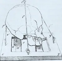 Picture 10 of 72 from Zur Morphologie der Rassen-Schädel : einleitende Bemerkungen und Beiträge, ein Sendschreiben an ... Carl Ernst v. Baer / von Joh. Christ. Gustav Lucae. (1861), leaf 68
