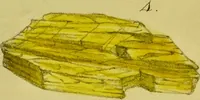 An illustration from Medical zoology and mineralogy. Or, Illustrations and descriptions of the animals and minerals employed in medicine, and of the preparations derived from them; including also an account of animal and mineral poisons, with figures coloured from nature / [John Stephenson]. (1832)