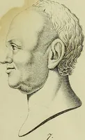 Picture 7 of 112 from La physiognomonie, ou l'art de connaître les hommes d'après les traits de leur physionomie, leurs rupports avec les divers animaux, leur penchans. ... / Lavater. (1841), leaf 319