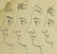 Picture 18 of 112 from La physiognomonie, ou l'art de connaître les hommes d'après les traits de leur physionomie, leurs rupports avec les divers animaux, leur penchans. ... / Lavater. (1841), leaf 337