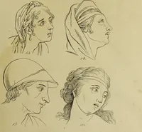 Picture 31 of 112 from La physiognomonie, ou l'art de connaître les hommes d'après les traits de leur physionomie, leurs rupports avec les divers animaux, leur penchans. ... / Lavater. (1841), leaf 359