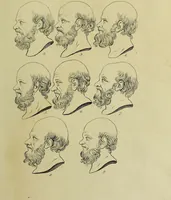Picture 32 of 112 from La physiognomonie, ou l'art de connaître les hommes d'après les traits de leur physionomie, leurs rupports avec les divers animaux, leur penchans. ... / Lavater. (1841), leaf 363