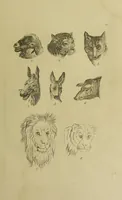 Picture 45 of 112 from La physiognomonie, ou l'art de connaître les hommes d'après les traits de leur physionomie, leurs rupports avec les divers animaux, leur penchans. ... / Lavater. (1841), leaf 401
