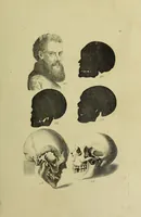 Picture 50 of 112 from La physiognomonie, ou l'art de connaître les hommes d'après les traits de leur physionomie, leurs rupports avec les divers animaux, leur penchans. ... / Lavater. (1841), leaf 415