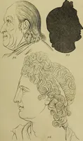 Picture 79 of 112 from La physiognomonie, ou l'art de connaître les hommes d'après les traits de leur physionomie, leurs rupports avec les divers animaux, leur penchans. ... / Lavater. (1841), leaf 479