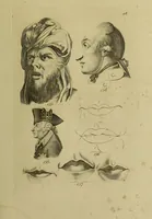 Picture 94 of 112 from La physiognomonie, ou l'art de connaître les hommes d'après les traits de leur physionomie, leurs rupports avec les divers animaux, leur penchans. ... / Lavater. (1841), leaf 511
