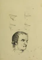 An illustration from La physiognomonie, ou l'art de connaître les hommes d'après les traits de leur physionomie, leurs rupports avec les divers animaux, leur penchans. ... / Lavater. (1841)