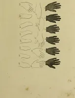 Picture 98 of 112 from La physiognomonie, ou l'art de connaître les hommes d'après les traits de leur physionomie, leurs rupports avec les divers animaux, leur penchans. ... / Lavater. (1841), leaf 529