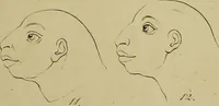 An illustration from La physiognomonie, ou l'art de connaître les hommes d'après les traits de leur physionomie, leurs rupports avec les divers animaux, leur penchans. ... / Lavater. (1841)