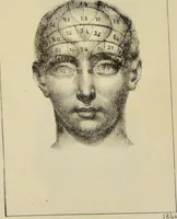 An illustration from Nuevo manual de frenolojía, escrito en inglés ... / puesto en francés con numerosas notas por el Doctor J. Fossati ... y traducido al español por Don José de Garaycoechea. (1840)