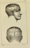 An illustration from Nuevo manual de frenolojía, escrito en inglés ... / puesto en francés con numerosas notas por el Doctor J. Fossati ... y traducido al español por Don José de Garaycoechea. (1840)