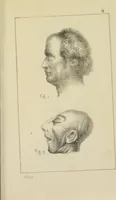 An illustration from Nuevo manual de frenolojía, escrito en inglés ... / puesto en francés con numerosas notas por el Doctor J. Fossati ... y traducido al español por Don José de Garaycoechea. (1840)