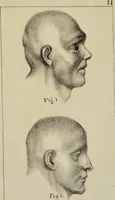An illustration from Nuevo manual de frenolojía, escrito en inglés ... / puesto en francés con numerosas notas por el Doctor J. Fossati ... y traducido al español por Don José de Garaycoechea. (1840)