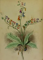 Picture 3 of 27 from Les fleurs animées / par J.J. Grandville ; introductions par Alph. Karr ; texte par Taxile Delord. (1847), leaf 11