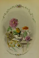 An illustration from Les fleurs animées / par J.J. Grandville ; introductions par Alph. Karr ; texte par Taxile Delord. (1847)