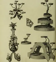 An illustration from The universal herbal; or, botanical, medical, and agricultural dictionary / [Thomas Green]. (1828)