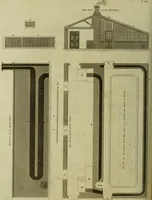 An illustration from The universal herbal; or, botanical, medical, and agricultural dictionary / [Thomas Green]. (1828)