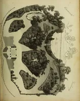 An illustration from The universal herbal; or, botanical, medical, and agricultural dictionary / [Thomas Green]. (1828)