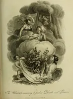 Picture 75 of 123 from The universal herbal; or, botanical, medical, and agricultural dictionary / [Thomas Green]. (1828), leaf 137