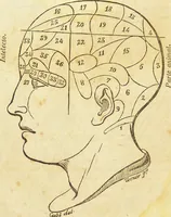 An illustration from Manual de frenolojía, o sea filosofía del entendimiento humano fundada sobre la fisiología del zélebro / Por Mariano Cubi y Soler. (1843)