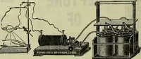 Picture 50 of 91 from Jenner centenary number. (1896), leaf 134