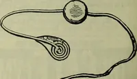 Picture 53 of 91 from Jenner centenary number. (1896), leaf 136