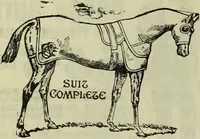 Picture 68 of 91 from Jenner centenary number. (1896), leaf 142