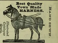 Picture 70 of 91 from Jenner centenary number. (1896), leaf 142