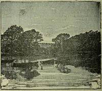 An illustration from Jenner centenary number. (1896)